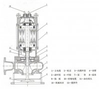 JPWQ型不锈钢自动搅匀潜水排污泵结构图
