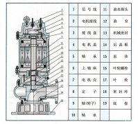 QW潜水式无堵塞排污泵结构图