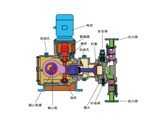 隔膜式计量泵结构图